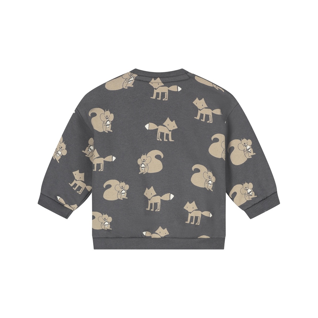 Babyface | Sweater Boys Antra