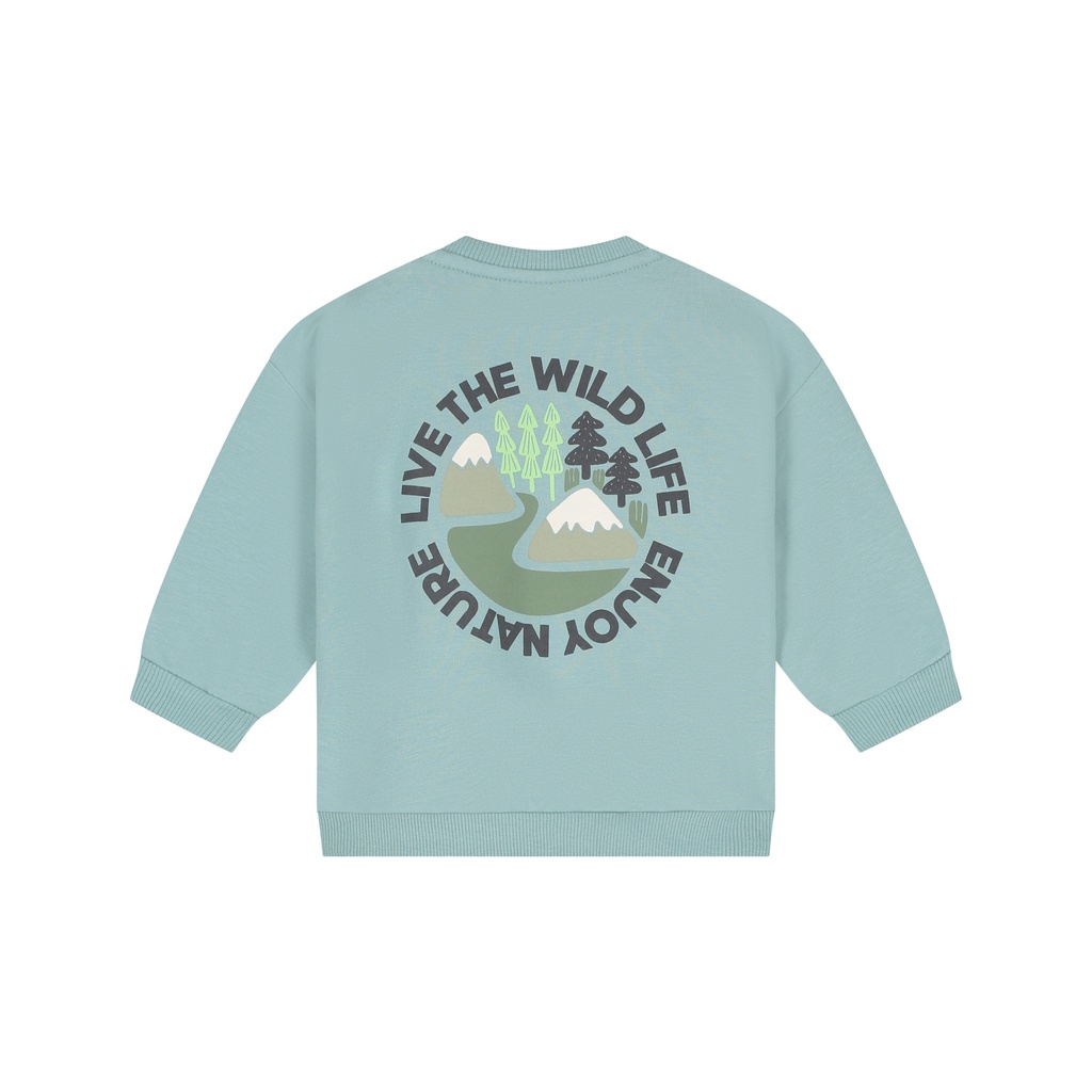 Babyface | Sweater Boys Sky