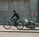 Thule | Fietskar vr Honden Bexey Hazy Green M
