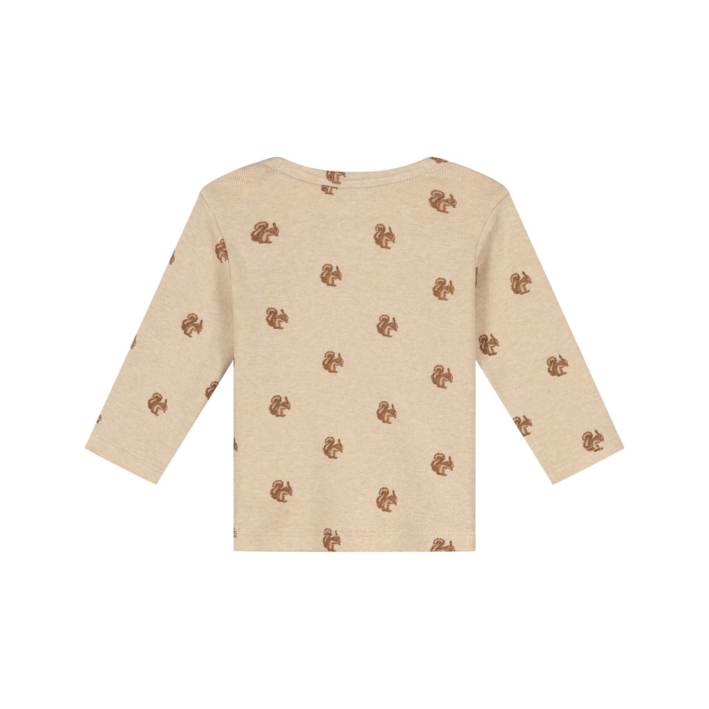 A Tiny Story | T-shirt Boys Longsleeve Beige Melange