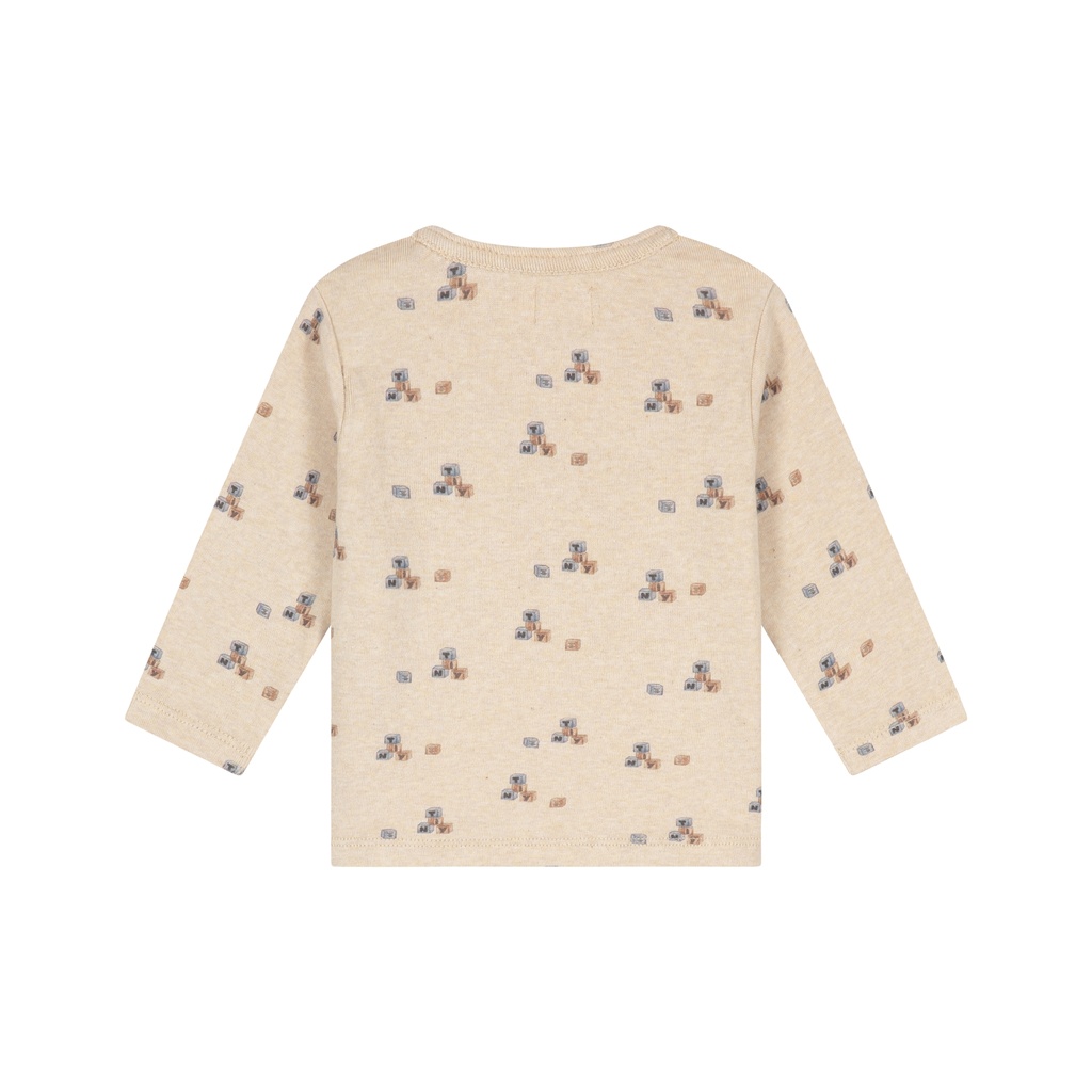 A Tiny Story | T-shirt Boys Longsleeve Beige Melange