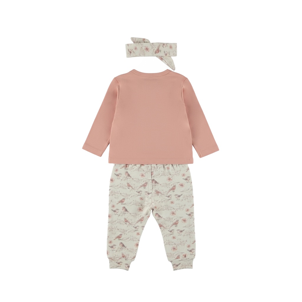 Dirkje | Outfit Girls Rosy Dots Misty Rose 3-delig