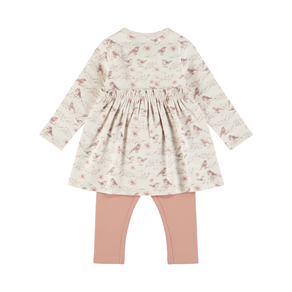Dirkje | Outfit Girls Rosy Dots Misty Rose 2-delig