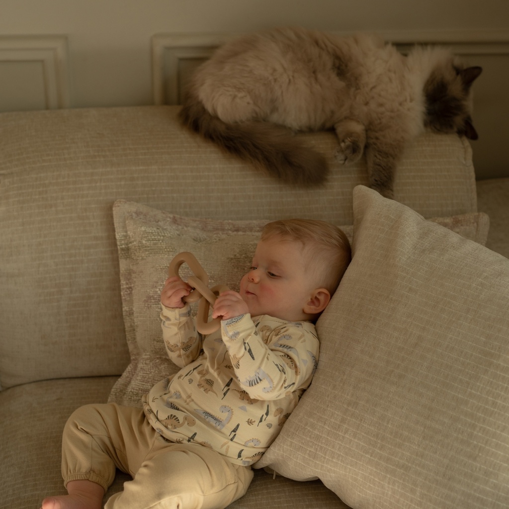 Dirkje | Outfit Boys Dino Days Harbour Mist