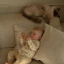 Dirkje | Outfit Boys Dino Days Harbour Mist