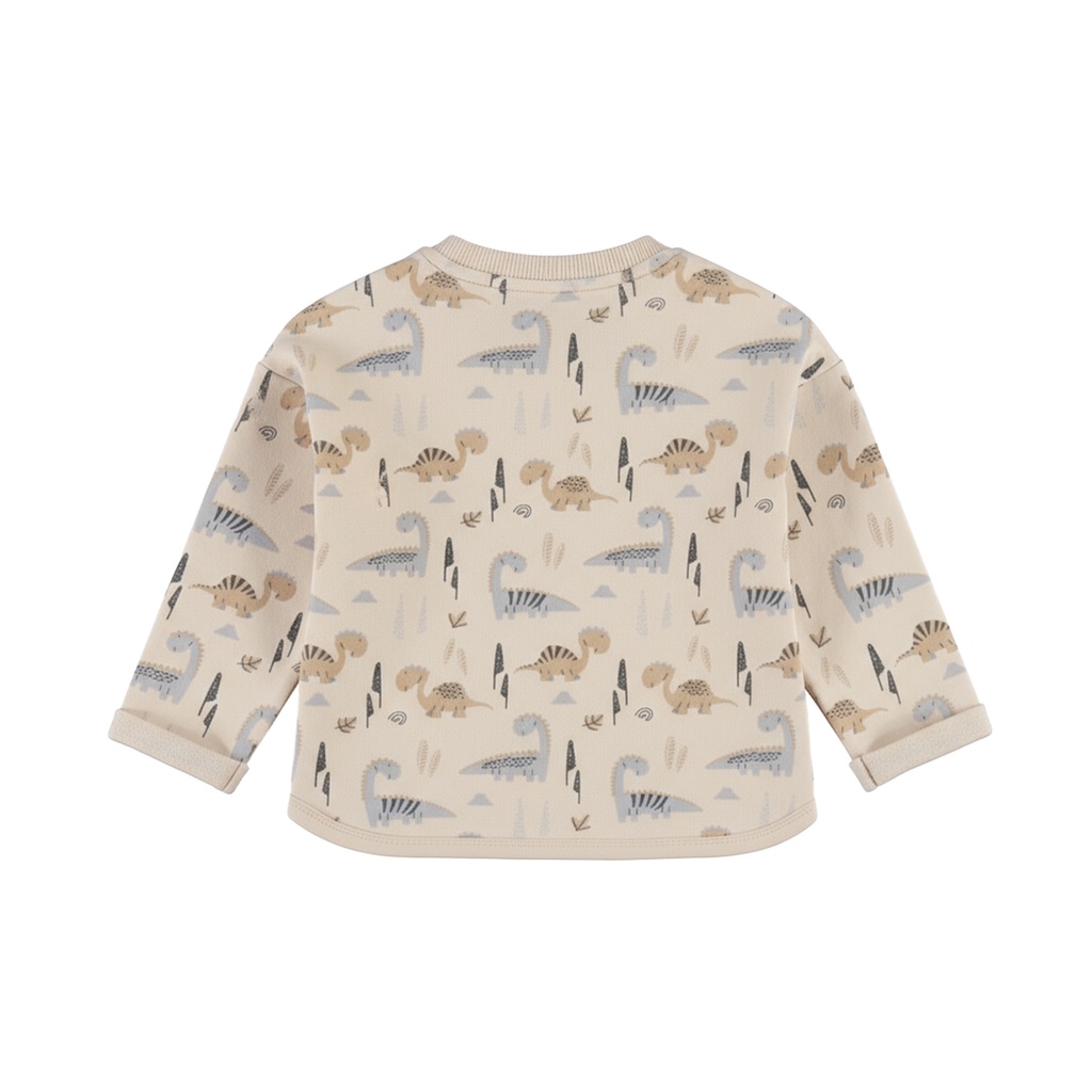Dirkje | Sweater Boys Dino Days Angora