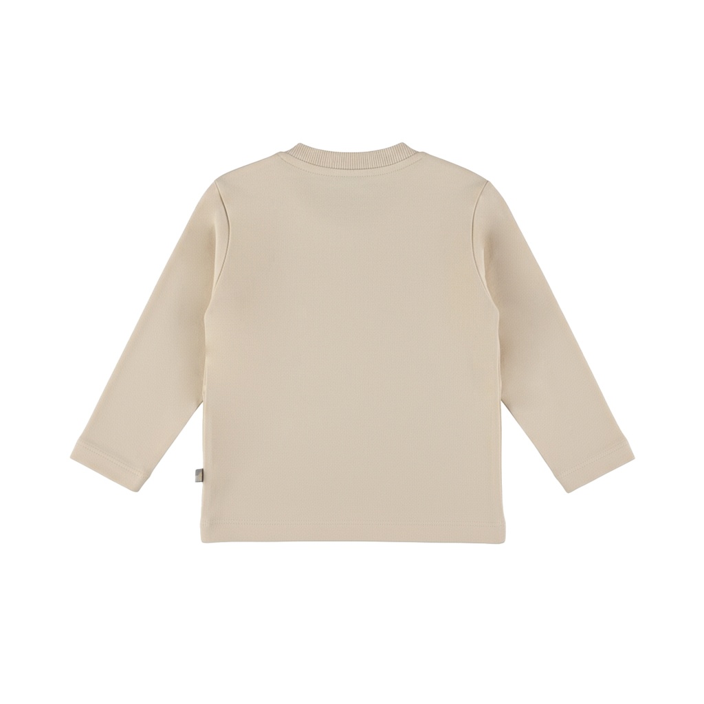Dirkje | T-shirt Boys Dino Days Longsleeve Angora