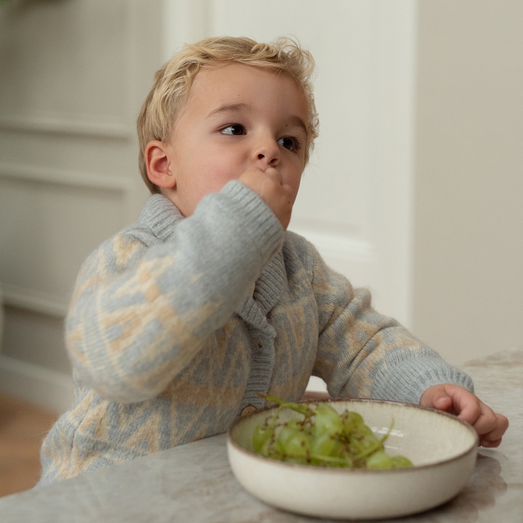 Dirkje | Vest Boys Dino Days Harbour Mist