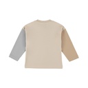 Dirkje | T-shirt Boys Dino Days Longsleeve Irish Cream