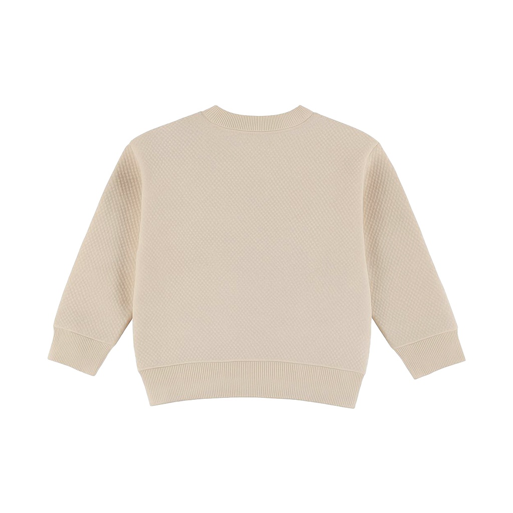 Dirkje | Sweater Boys Dino Days Angora