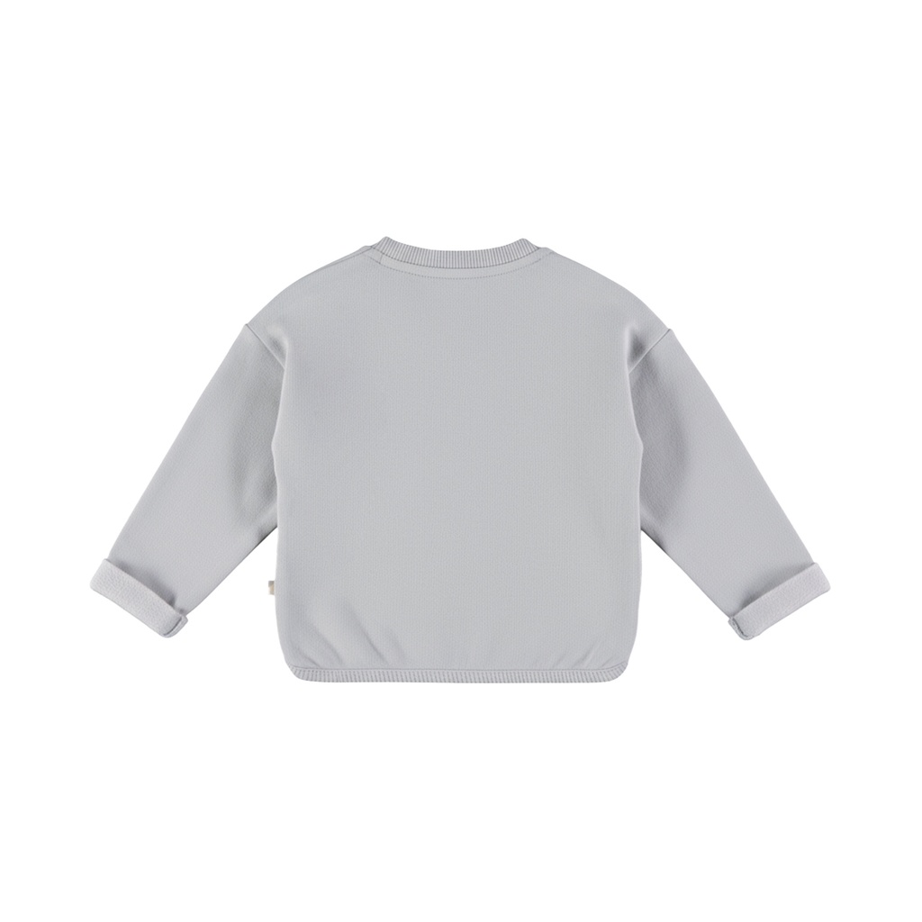 Dirkje | Sweater Boys Dino Days Harbour Mist