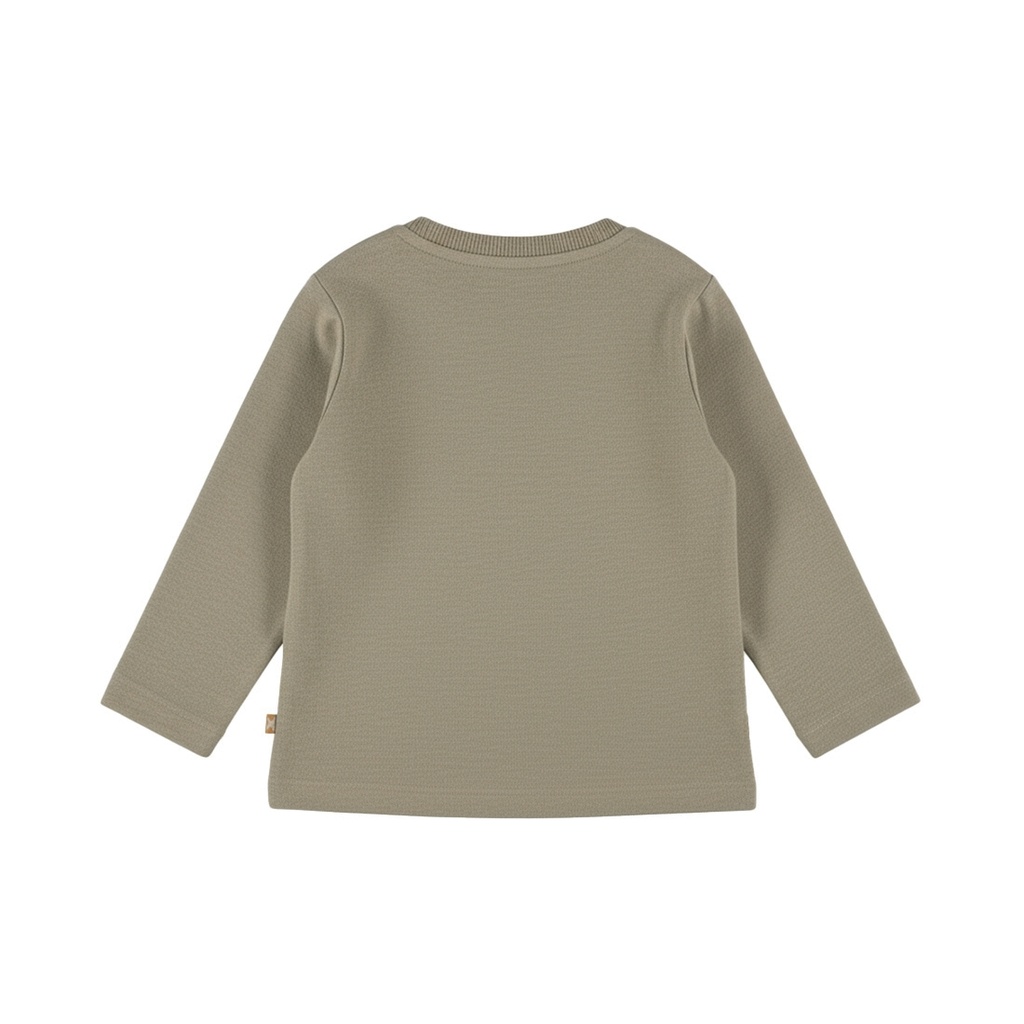 Dirkje | T-shirt Boys Skator Gator Mermaid