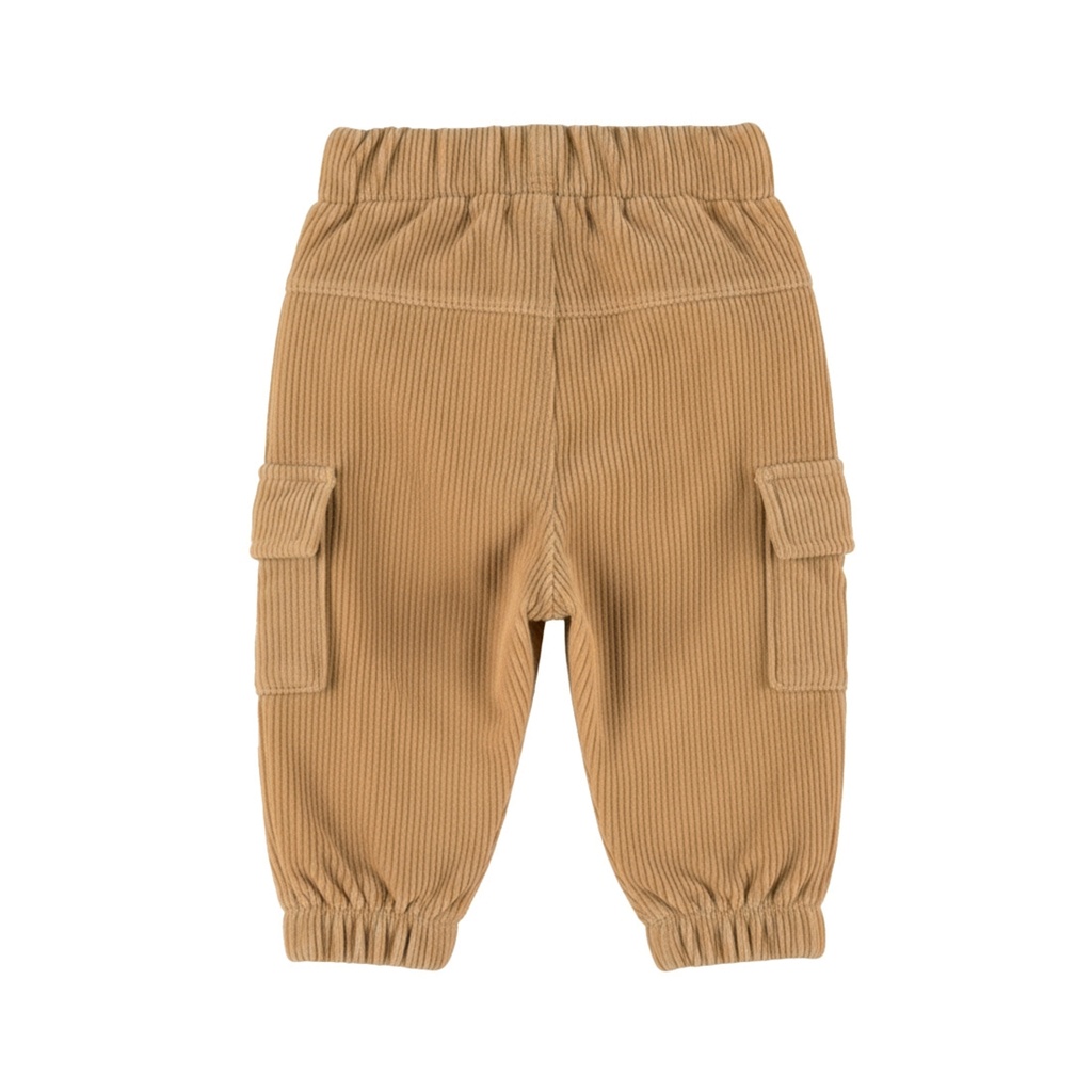 Dirkje | Broek Boys Skator Gator Cornstalk