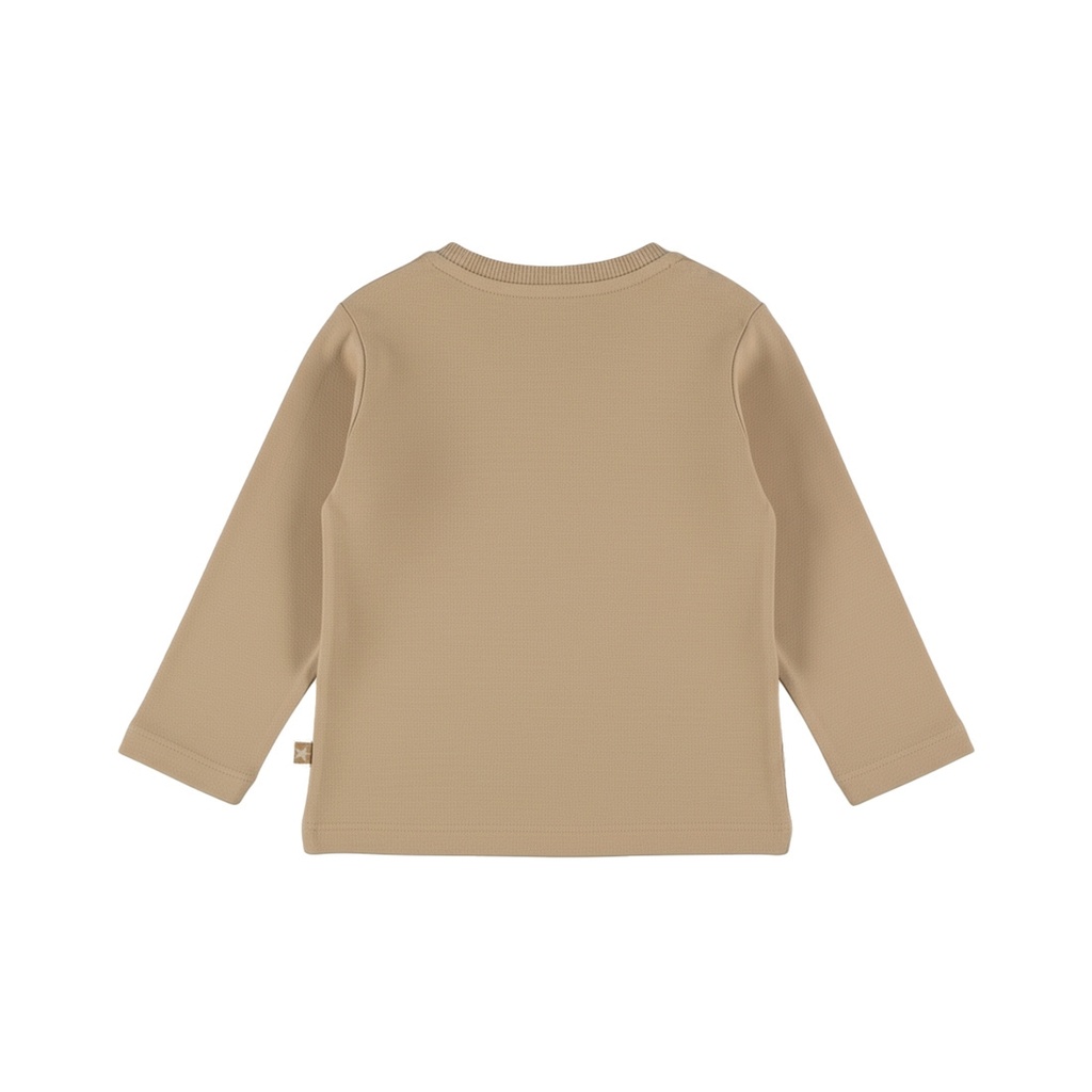 Dirkje | T-shirt Boys Skator Gator Longsleeve Cornstalk 