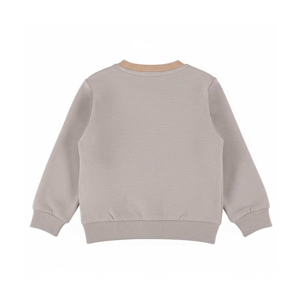Dirkje | Sweater Boys Outdoors Mourning Dove
