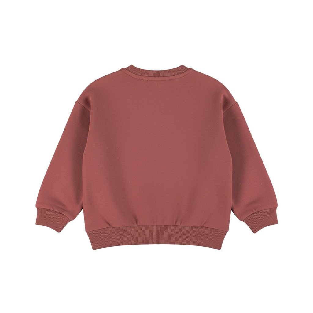 Dirkje | Sweater Boys Alphine Club Roan Rouge