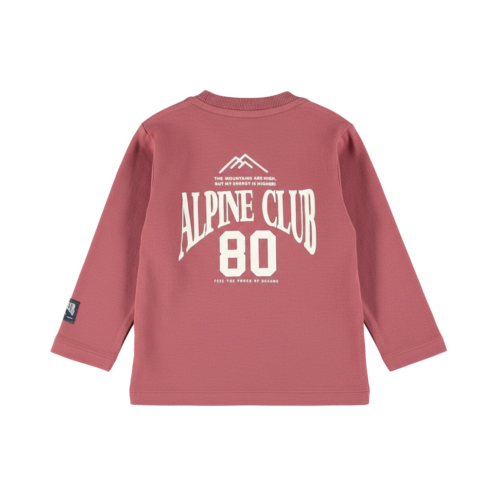 Dirkje | T-shirt Boys Alphine Club Roan Rouge
