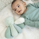 Nattou | Pluche Knuffel Octupus Lindegroen