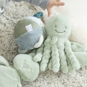Nattou | Pluche Knuffel Octopus Lapidou Lindegroen