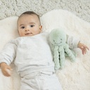Nattou | Pluche Knuffel Octopus Lapidou Lindegroen