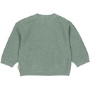 Levv | Pull Boys Neil Seagreen
