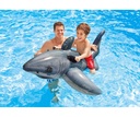 Intex | Zwemspeelgoed Grote Witte Haai Ride-On 173X107cm