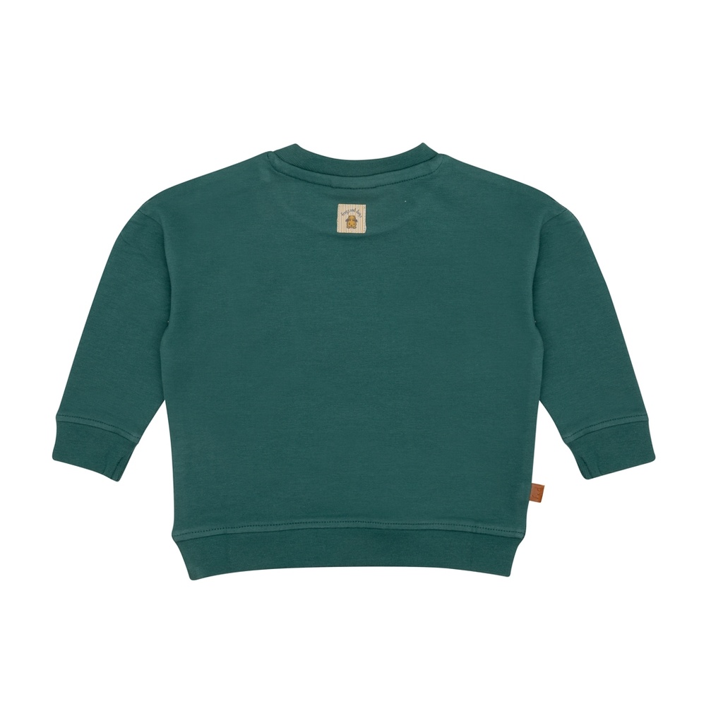 Frogs & Dogs | Sweater Boys Jasper