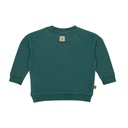Frogs & Dogs | Sweater Boys Jasper