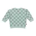 Frogs & Dogs | Sweater Boys Pastel Blue