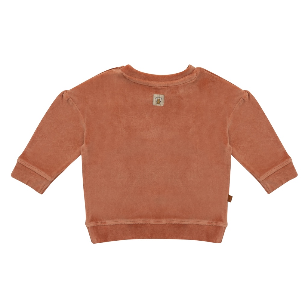 Frogs & Dogs | Sweater Girls Cameo Brown