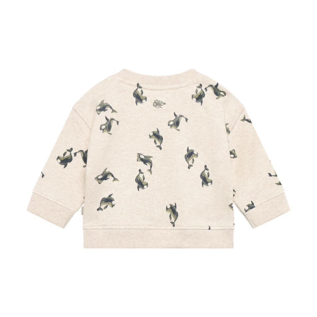 Noppies | Pull Boys Sand Melange