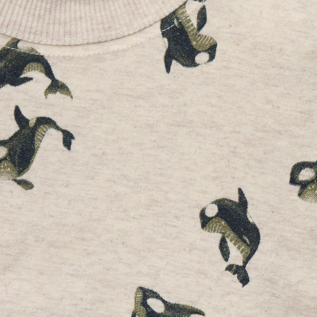 Noppies | Pull Boys Sand Melange