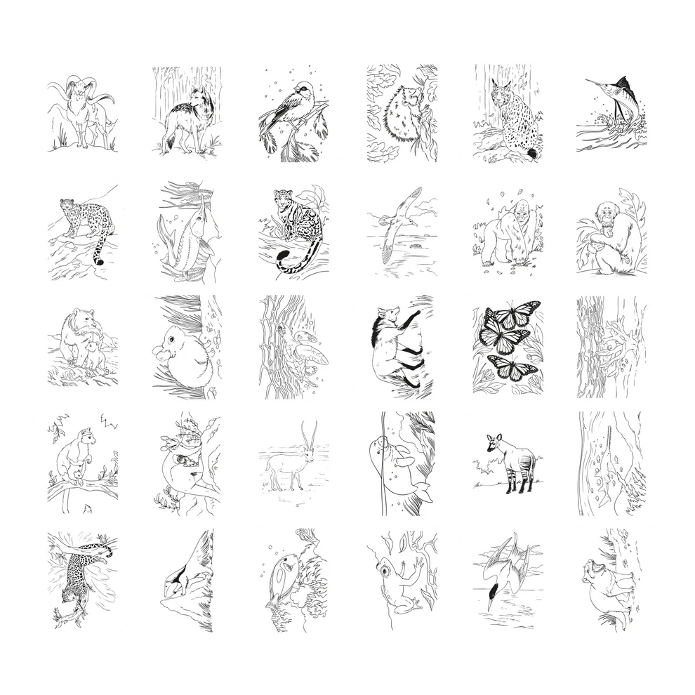 Kidywolf | Tekentablet Kidydraw Pad Animals 8Y+