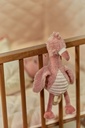 Little Dutch | Muziektrekker Safari Friends Flamingo Roze 