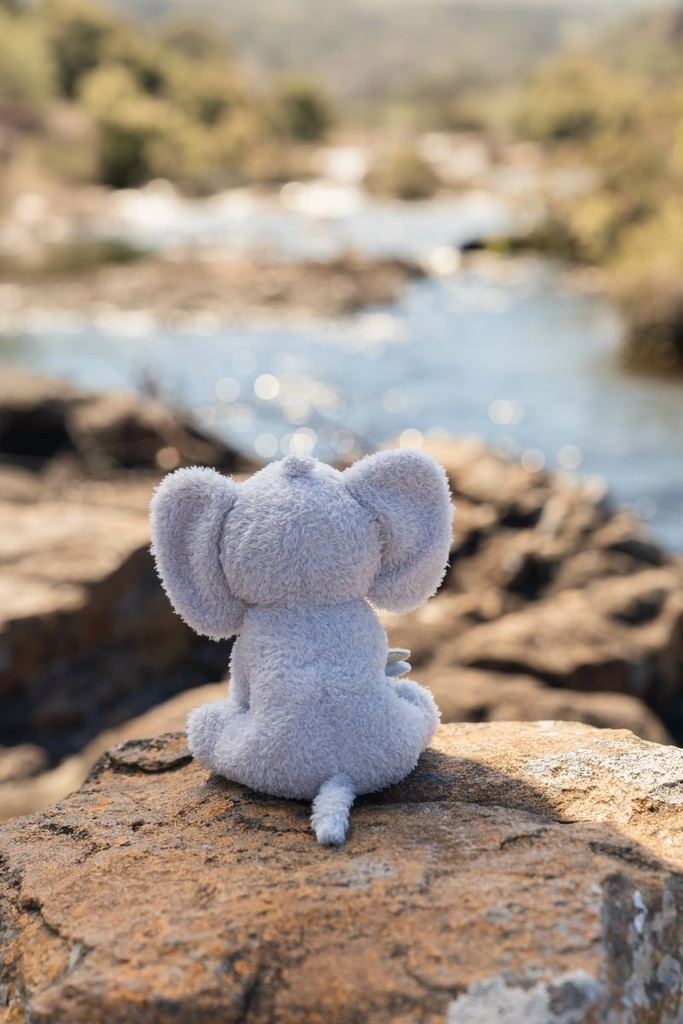 Little Dutch | Pluche Knuffel Safari Friends Olifant Grijs 17cm