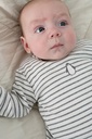 Feetje | T-shirt Uni Penguin Cuddles Longsleeve Antraciet