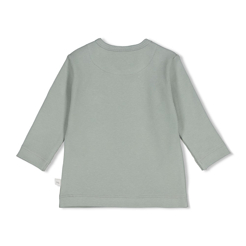 Feetje | T-shirt Uni Penguin Cuddles Longsleeve Zeegroen