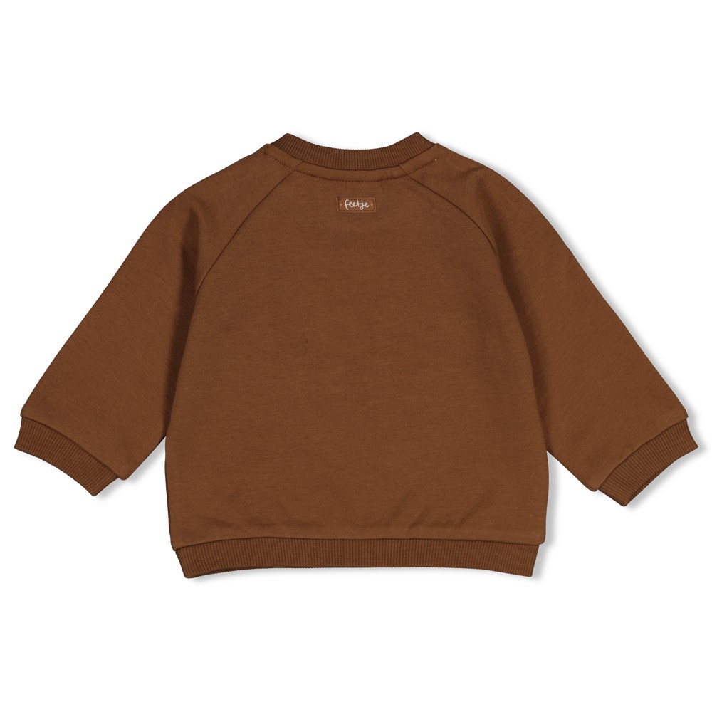Feetje | Sweater Boys Tiny Timber Tales Bruin