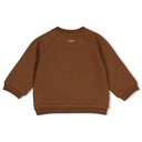 Feetje | Sweater Boys Tiny Timber Tales Bruin
