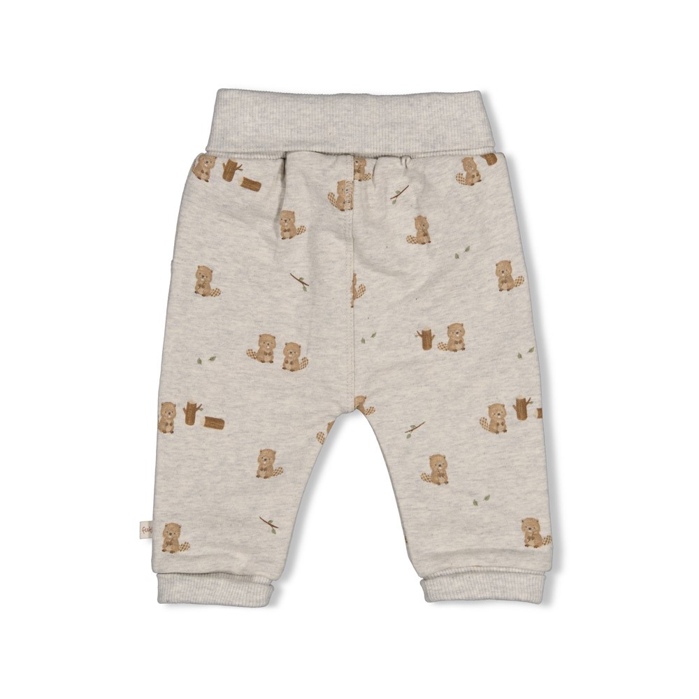 Feetje | Broek Boys Tiny Timber Tales Grijs Melange