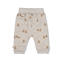 Feetje | Broek Boys Tiny Timber Tales Grijs Melange