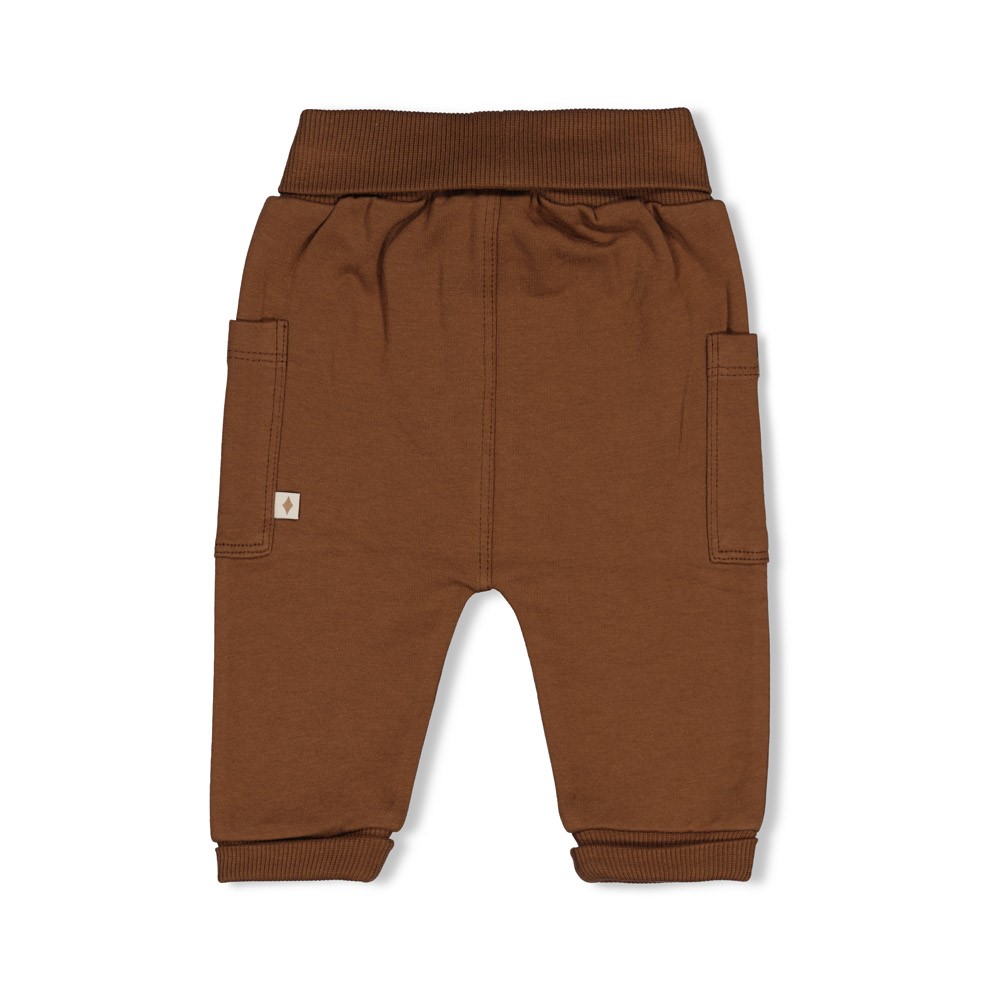 Feetje | Broek Boys Tiny Timber Tales Bruin