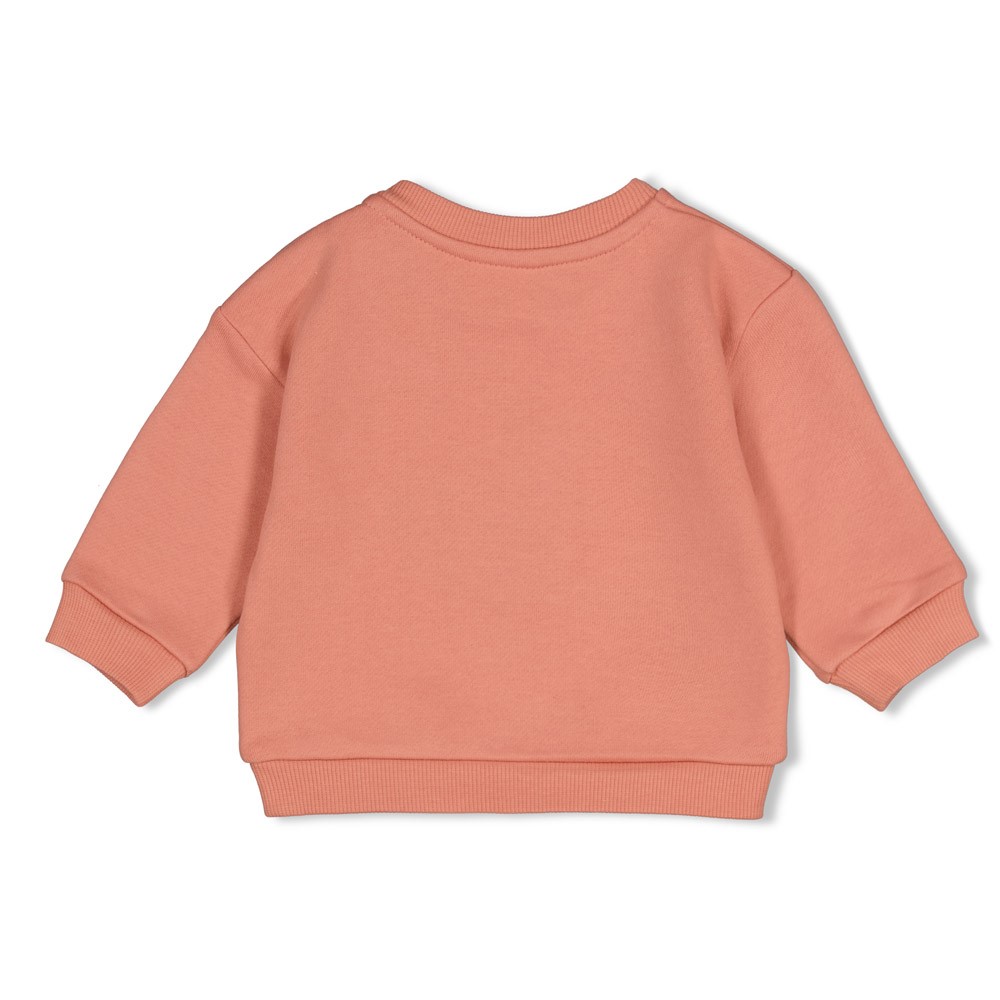 Feetje | Sweater Girls Forest Garden Roze