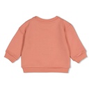 Feetje | Sweater Girls Forest Garden Roze