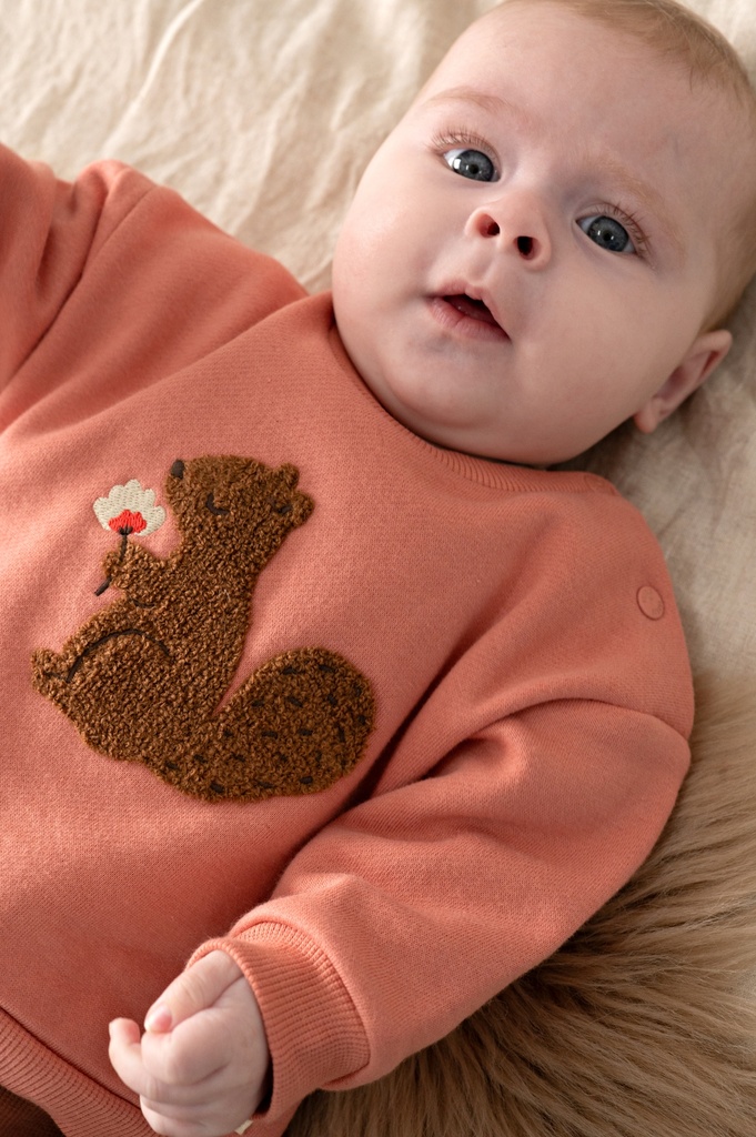 Feetje | Sweater Girls Forest Garden Roze