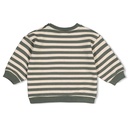 Feetje | Sweater Boys Wiggle and Waddle Groen
