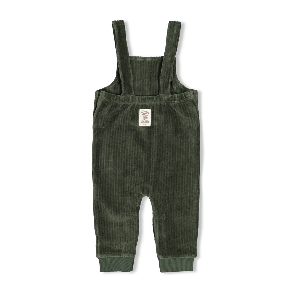 Feetje | Salopette Boys Wiggle and Waddle Groen