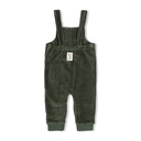 Feetje | Salopette Boys Wiggle and Waddle Groen
