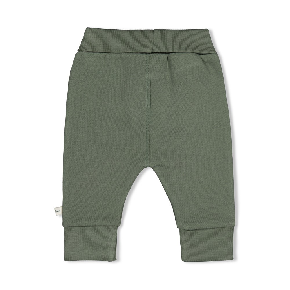 Feetje | Broek Boys Wiggle and Waddle Groen
