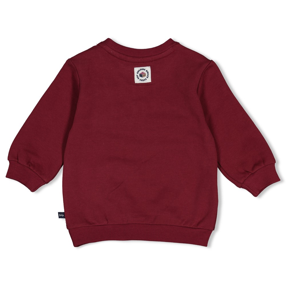Feetje | Sweater Boys Built for Fun Bordeaux